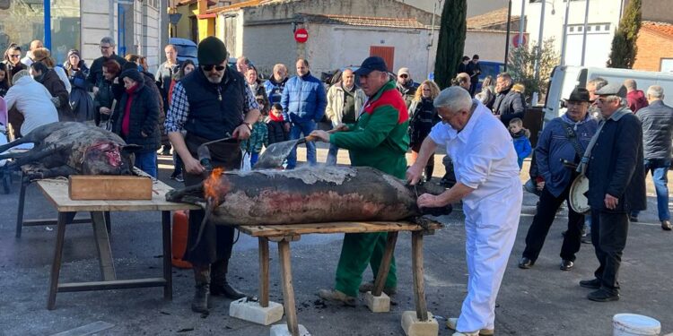Cabrerizos, Carrascal, Castellanos y Santa Marta volverán a celebrar la Fiesta de la Matanza en 2025