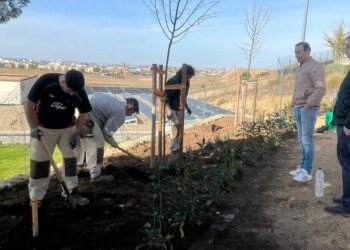 La AFE ‘Espacios Verdes Carbajosa’ completa la recuperación de la Fuente de Valdehigal con la plantación de flores y aromáticas