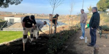 La AFE ‘Espacios Verdes Carbajosa’ completa la recuperación de la Fuente de Valdehigal con la plantación de flores y aromáticas