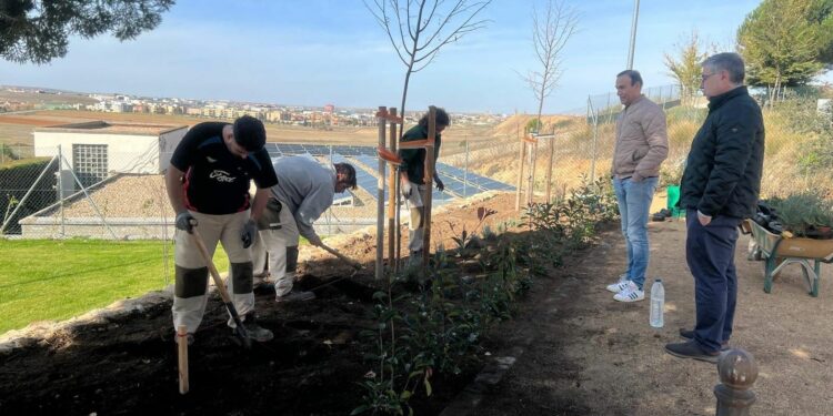 La AFE ‘Espacios Verdes Carbajosa’ completa la recuperación de la Fuente de Valdehigal con la plantación de flores y aromáticas