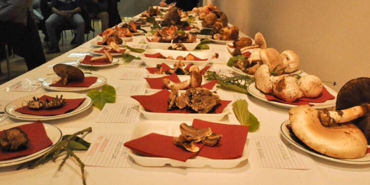 Las Jornadas Micológicas vuelven un año más a la Escuela de Hostelería de Santa Marta