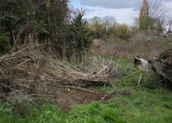 Limpieza del regato del Zurguén para retirar la maleza y los restos vegetales