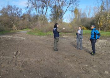 El Ayuntamiento acomete los trabajos para rehabilitar la zona del Picón de la Isla del Soto que se llevó la última crecida