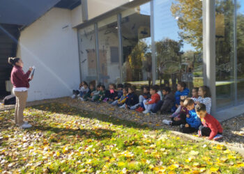 Formación medioambiental en la Isla del Soto para 46 niños del colegio San Blas