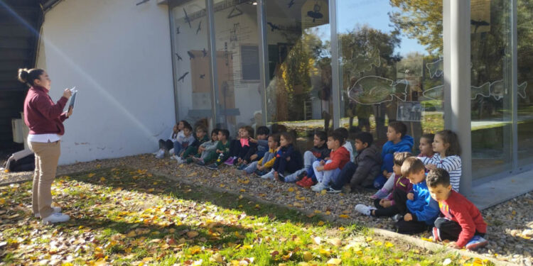 Formación medioambiental en la Isla del Soto para 46 niños del colegio San Blas