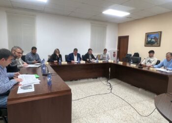 Renuncia la cabeza de lista y portavoz del PSOE de Cabrerizos, María Cáceres