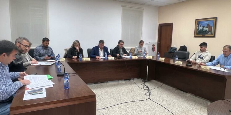 Renuncia la cabeza de lista y portavoz del PSOE de Cabrerizos, María Cáceres