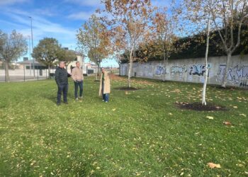 Carbajosa abre el nuevo parque canino con 1.000 m2 de ocio para perros en la calle Juan Valdés