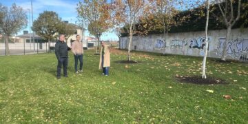 Carbajosa abre el nuevo parque canino con 1.000 m2 de ocio para perros en la calle Juan Valdés