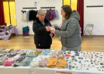Los vecinos responden a la llamada de Castegatos con el IV Mercadillo Solidario para ayudar a mantener las familias gatunas