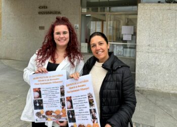 La fiesta de la castañada de Villamayor homenajeará a la música tradicional y repartirá 250 kilos de castañas asadas