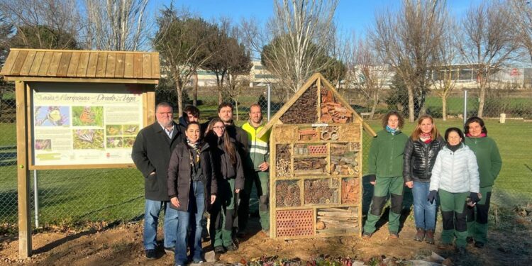 La creación de un hotel de insectos y un oasis de mariposas y un taller de adornos navideños despiden las actividades de las AFE de Carbajosa