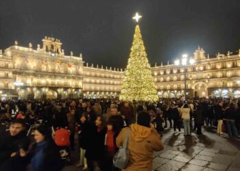 El árbol de Navidad y el videomapping, ‘La senda de los animales del hielo’ y el mercado navideño ‘triunfan’ en la Navidad de Salamanca