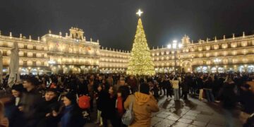El árbol de Navidad y el videomapping, ‘La senda de los animales del hielo’ y el mercado navideño ‘triunfan’ en la Navidad de Salamanca
