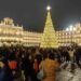 El árbol de Navidad y el videomapping, ‘La senda de los animales del hielo’ y el mercado navideño ‘triunfan’ en la Navidad de Salamanca