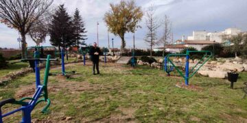 El Ayuntamiento acomete la reforma del parque de Las Nieves para reducir la superficie del lago e instalar aparatos biosaludables