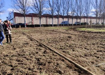 Los huertos de ocio de Santa Marta vuelven a su lugar original en la avenida de los Padres Paúles