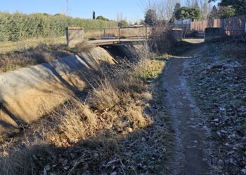 El Grupo Popular defiende la ubicación y ejecución de la pasarela peatonal de la carretera de Alba y acusa al PSOE de «desconocimiento y falta de rigor»