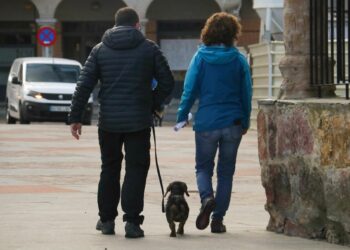 La nueva ordenanza de bienestar animal de Doñinos conlleva sanciones de 500 a 200.000 euros