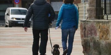 La nueva ordenanza de bienestar animal de Doñinos conlleva sanciones de 500 a 200.000 euros