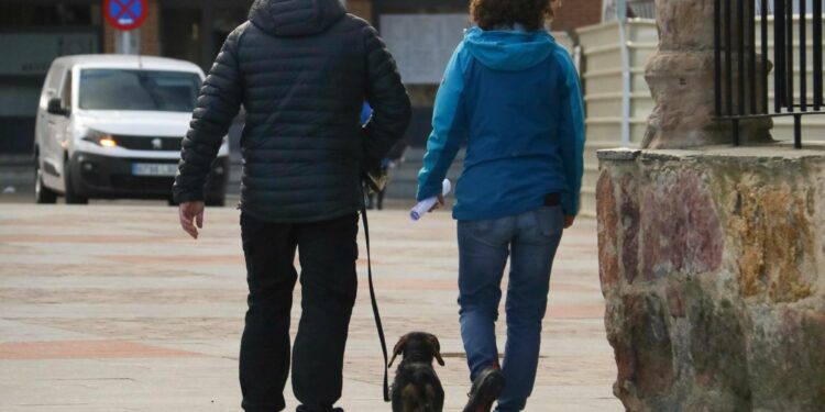 La nueva ordenanza de bienestar animal de Doñinos conlleva sanciones de 500 a 200.000 euros