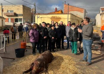 La XVII Matanza Tradicional de Doñinos reúne a los vecinos en torno al despiece del cerdo de 160 kilos