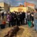 La XVII Matanza Tradicional de Doñinos reúne a los vecinos en torno al despiece del cerdo de 160 kilos
