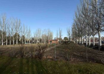 Abierto el plazo para solicitar la cesión de los huertos de ocio ubicados en la avenida Segovia