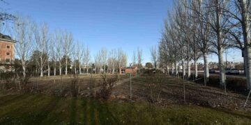 Abierto el plazo para solicitar la cesión de los huertos de ocio ubicados en la avenida Segovia