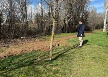 El Ayuntamiento instala 13 luminarias en el paseo del arroyo Requesenes
