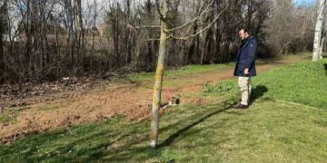El Ayuntamiento instala 13 luminarias en el paseo del arroyo Requesenes