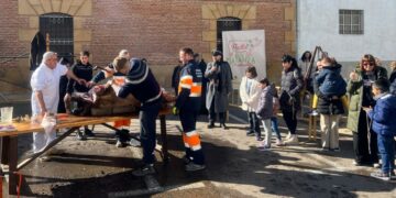 Una cerda de 220 kilos protagoniza la matanza tradicional de las Fiestas de San Blas en Castellanos