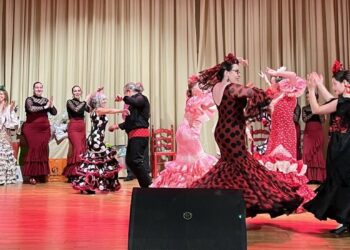 La Asociación El Rocío celebrará su IX Gala Benéfica a favor de AERSCYL el 15 de marzo