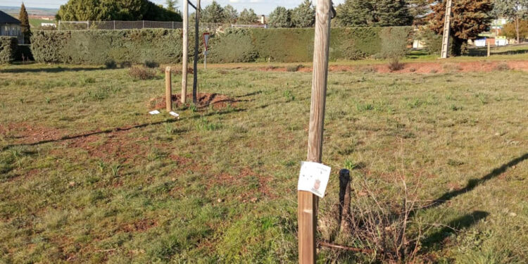 Los populares de Carrascal denuncian el estado de abandono y de olvido del ‘Bosque de los niños’