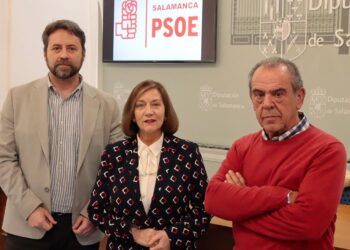 El PSOE pide una moratoria en la autorización de plantas de biogás y macrogranjas en la provincia