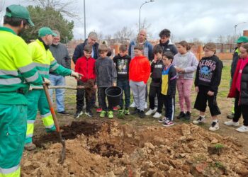 Comienza la plantación de árboles para dotar de sombra al parque canino de la calle Villares