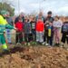 Comienza la plantación de árboles para dotar de sombra al parque canino de la calle Villares