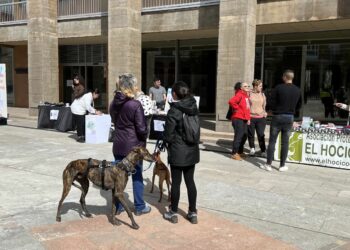 Carbajosa celebrará el Día de los Animales Callejeros con cuentacuentos, exposiciones y un mercadillo de adopción de mascotas
