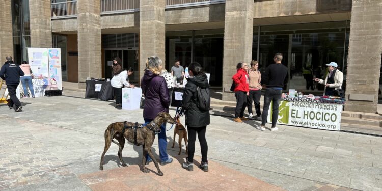 Carbajosa celebrará el Día de los Animales Callejeros con cuentacuentos, exposiciones y un mercadillo de adopción de mascotas