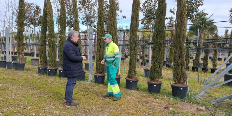 Carbajosa renovará las zonas verdes municipales con un centenar de nuevos árboles