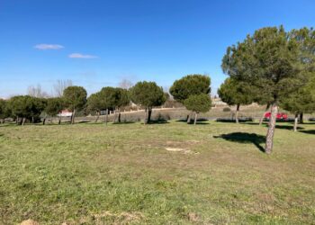 Carbajosa sacará a contratación la limpieza de las zonas verdes de las urbanizaciones por 295.000€