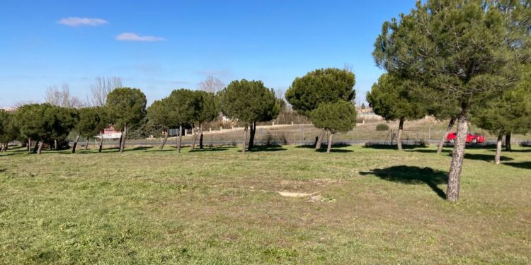 Carbajosa sacará a contratación la limpieza de las zonas verdes de las urbanizaciones por 295.000€