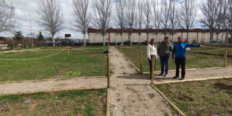 Los 40 nuevos huertos de ocio de Santa Marta, adjudicados y listos para empezar el cultivo