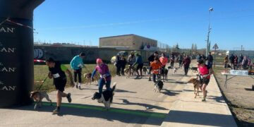 Medio centenar de corredores y sus perros participan en el V Canicross de Villamayor