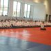 Villares se convierte en la sede internacional de aikido con el reconocido maestro Inagaki Shihan
