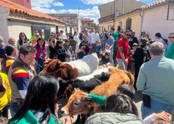 Cientos de vecinos de Doñinos participan en el novedoso encierro infantil junto a los mini cabestros