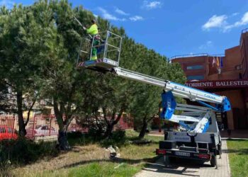 Campaña para combatir la oruga procesionaria con la retirada de bolsones y la instalación de trampas multicaptura