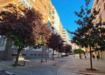 Plantación de árboles, arbustos y plantas de flor en el barrio del Oeste