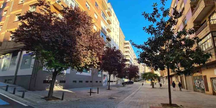 Plantación de árboles, arbustos y plantas de flor en el barrio del Oeste