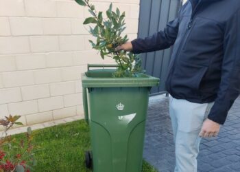 Amplia respuesta vecinal a la recogida de residuos vegetales en Cabrerizos con más de 266 contenedores solicitados